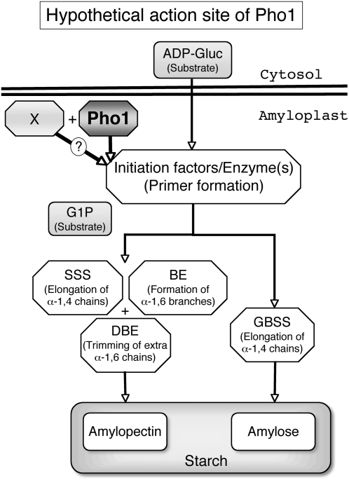 Figure 11.