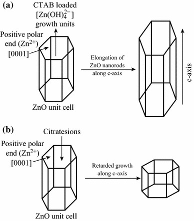 Fig. 13