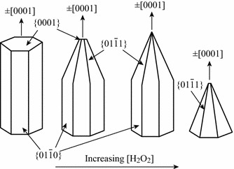 Fig. 7