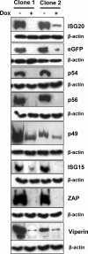 FIG. 3.