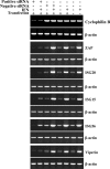 FIG. 8.