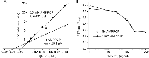 Fig. 6