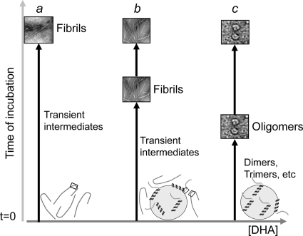 FIGURE 11.