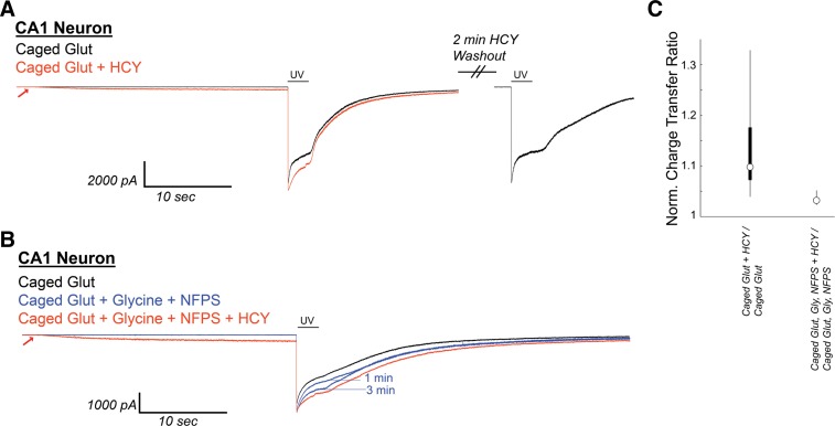 Fig. 12.