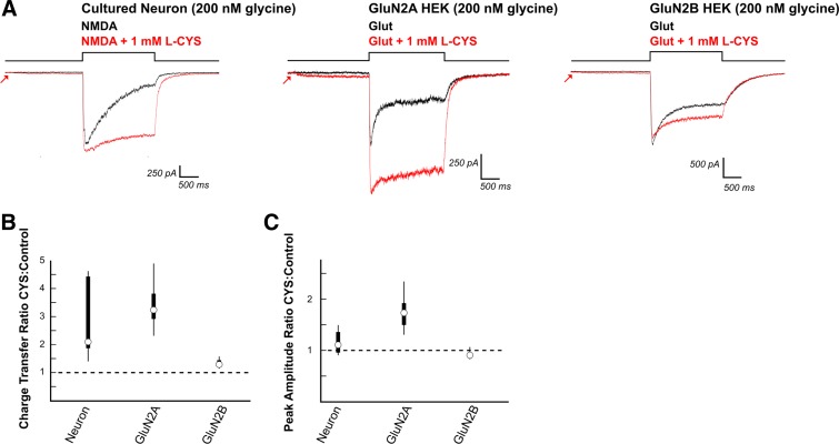 Fig. 8.