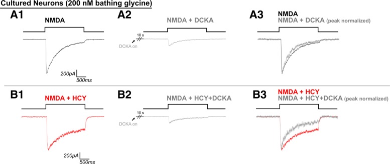 Fig. 10.