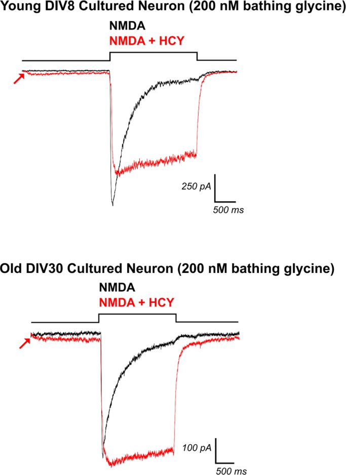 Fig. 6.