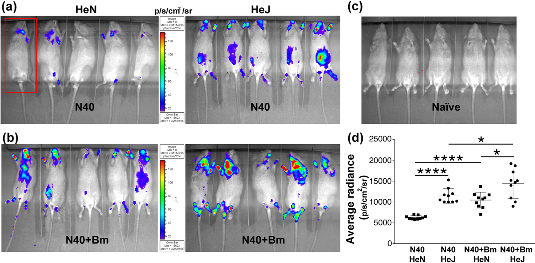 Figure 2.