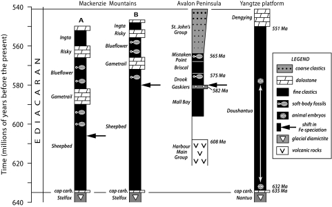 Fig. 3.