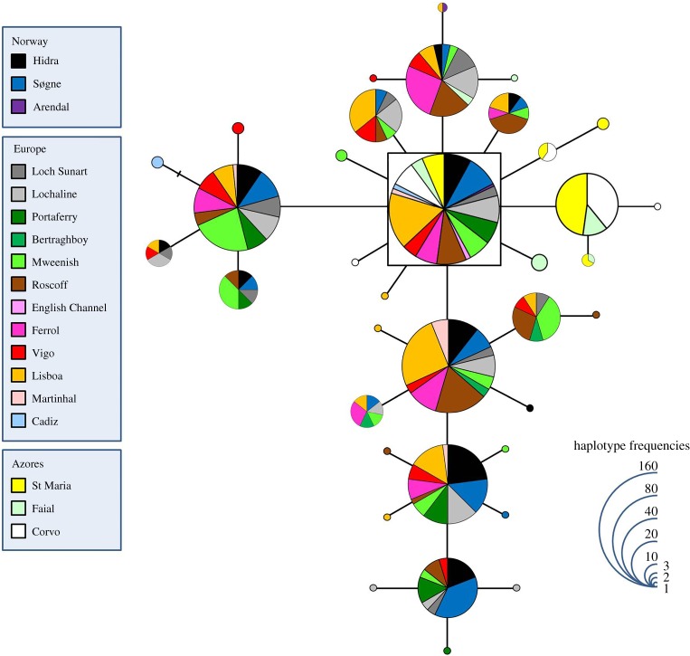 Figure 3.