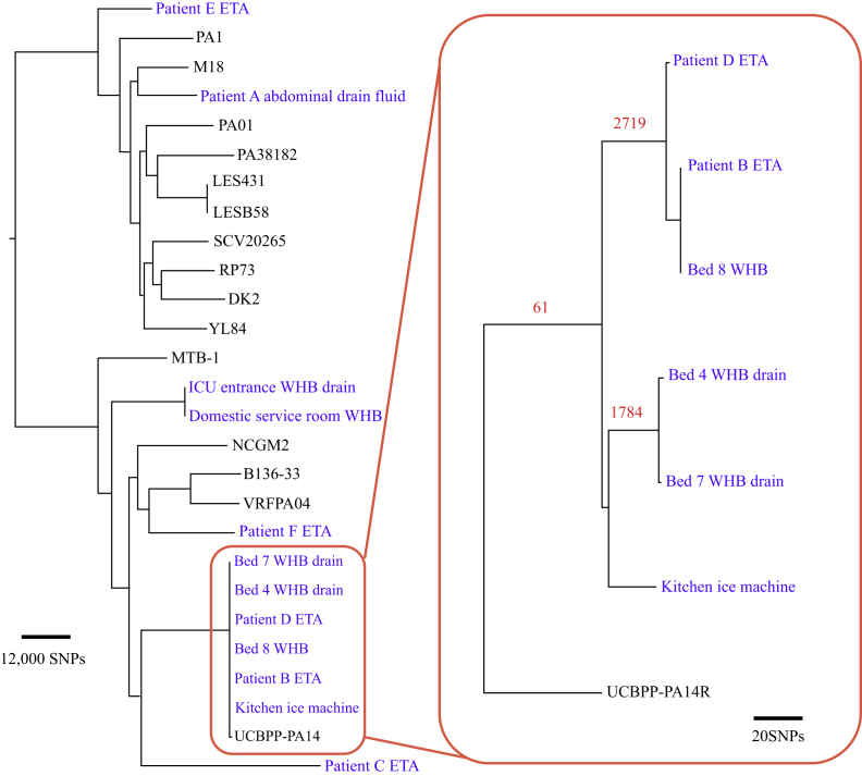 Figure 1