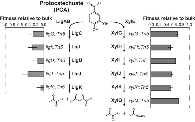 FIG 2