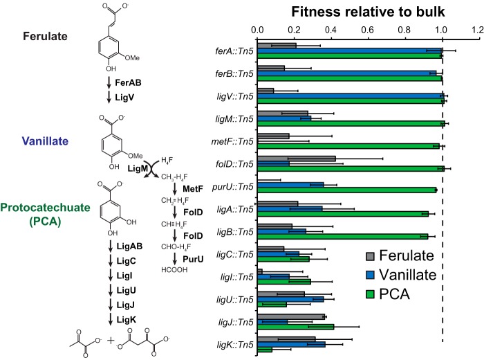 FIG 3