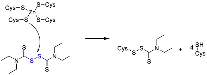 Fig. 9