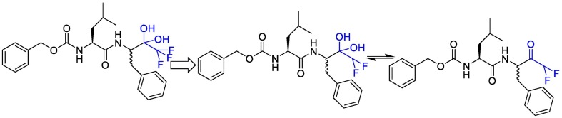 Fig. 14