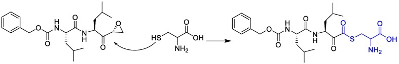 Fig. 16