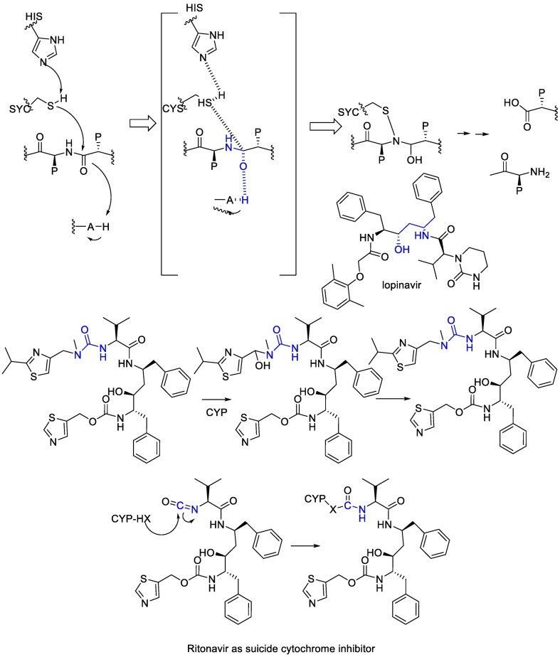 Fig. 17