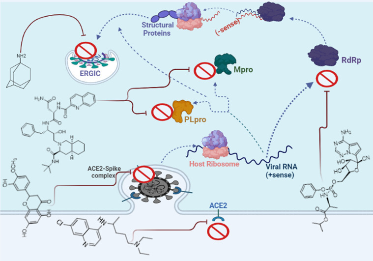 Unlabelled Image