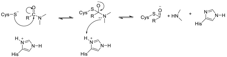 Fig. 10