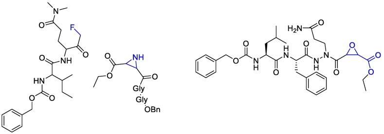 Fig. 12