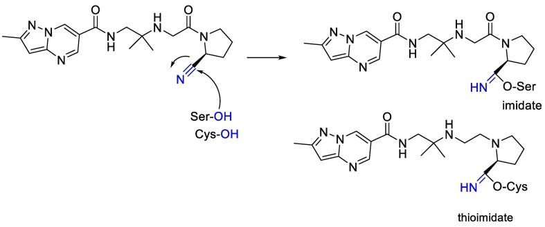 Fig. 8