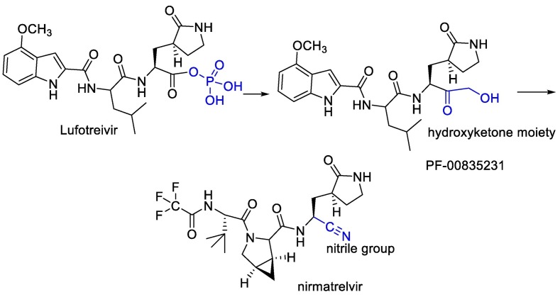 Fig. 21