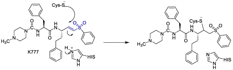 Fig. 13