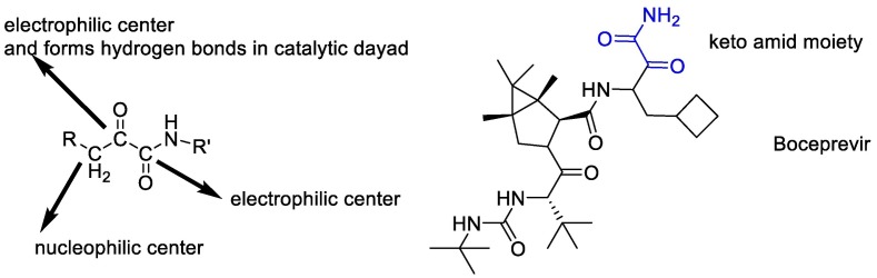 Fig. 11