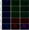 Supplementary Fig. 2