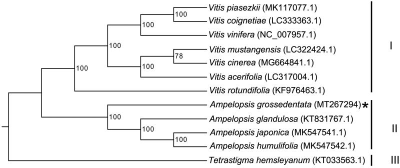 Figure 1.