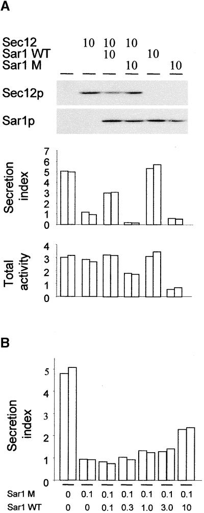 Figure 5.