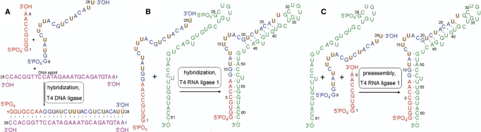 Figure 1.