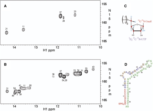 Figure 6.