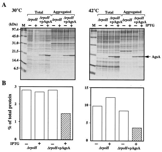 FIG. 8.