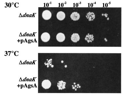 FIG. 6.