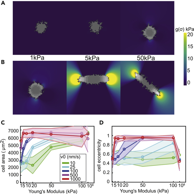 Figure 4