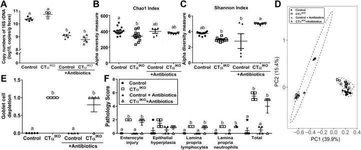 Figure 7