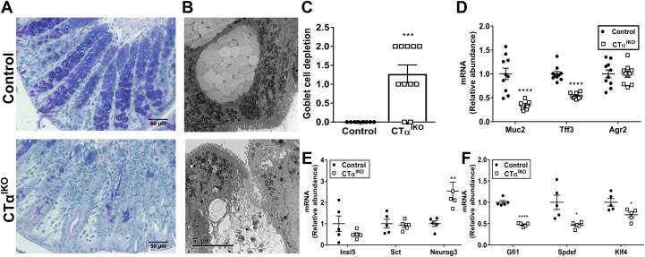 Figure 5