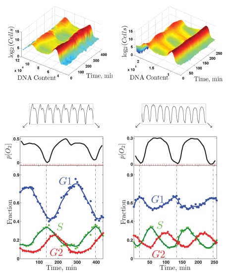 FIGURE 7: