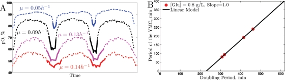 FIGURE 6: