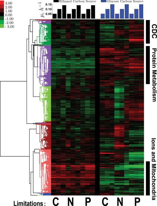 FIGURE 2: