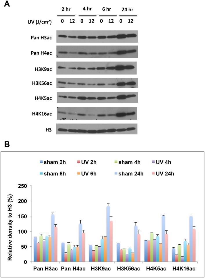 Fig 4