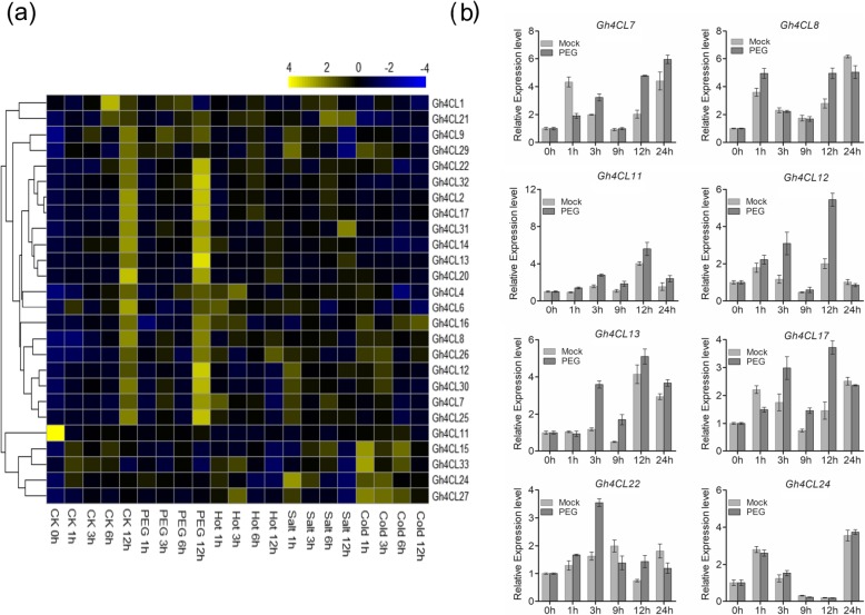 Fig. 3