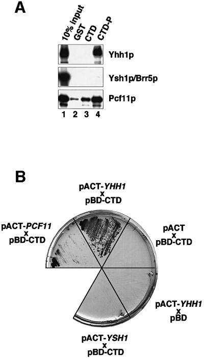 graphic file with name cdf390f7.jpg