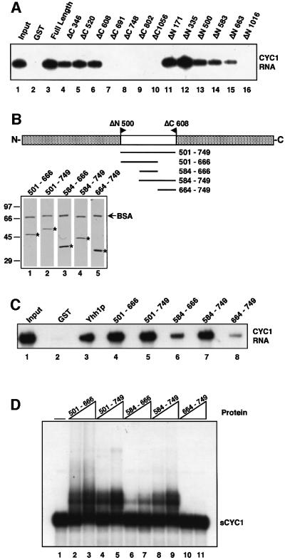 graphic file with name cdf390f4.jpg