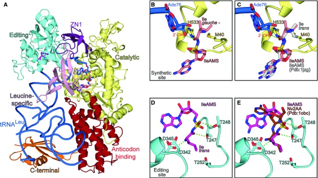 Figure 4