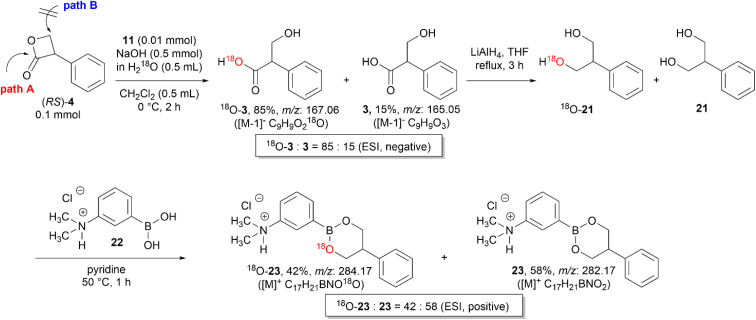 Scheme 6