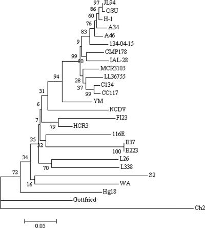 FIG. 1.