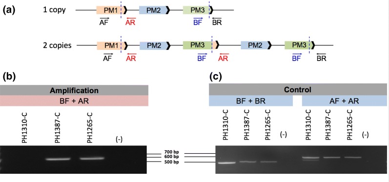 Fig. 2