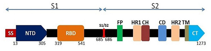 FIGURE 1